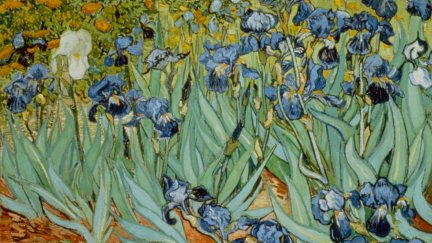 Vincent van Gogh, artwork, painting, flowers, nature | 1920x1440 ...