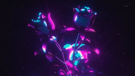 rose, 3D Abstract, Cinema 4D, dark, purple flowers | 1080x1920 ...