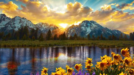 nature, landscape, flowers, clouds, sky, mountains, sun rays