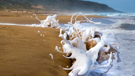 beach, sand, sea, nature, water | 2048x1442 Wallpaper - wallhaven.cc