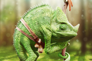 reptiles wallpapers - wallhaven.cc