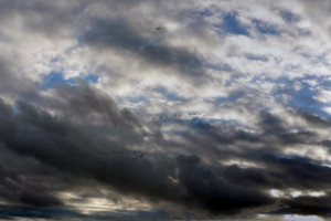 Fallen clouds